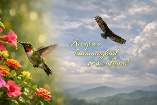 Are You a Hummingbird or a Vulture?