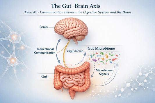 The Gut Brain Axis