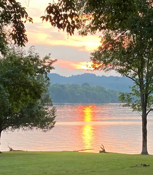 Why Stepping Away Brings Mental Clarity: How Quiet Time Resets the Brain