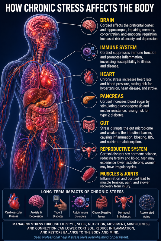 What Chronic Stress Looks Like Inside Your Body