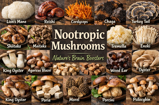 Nootropic Mushrooms: Nature’s Brain Boosters