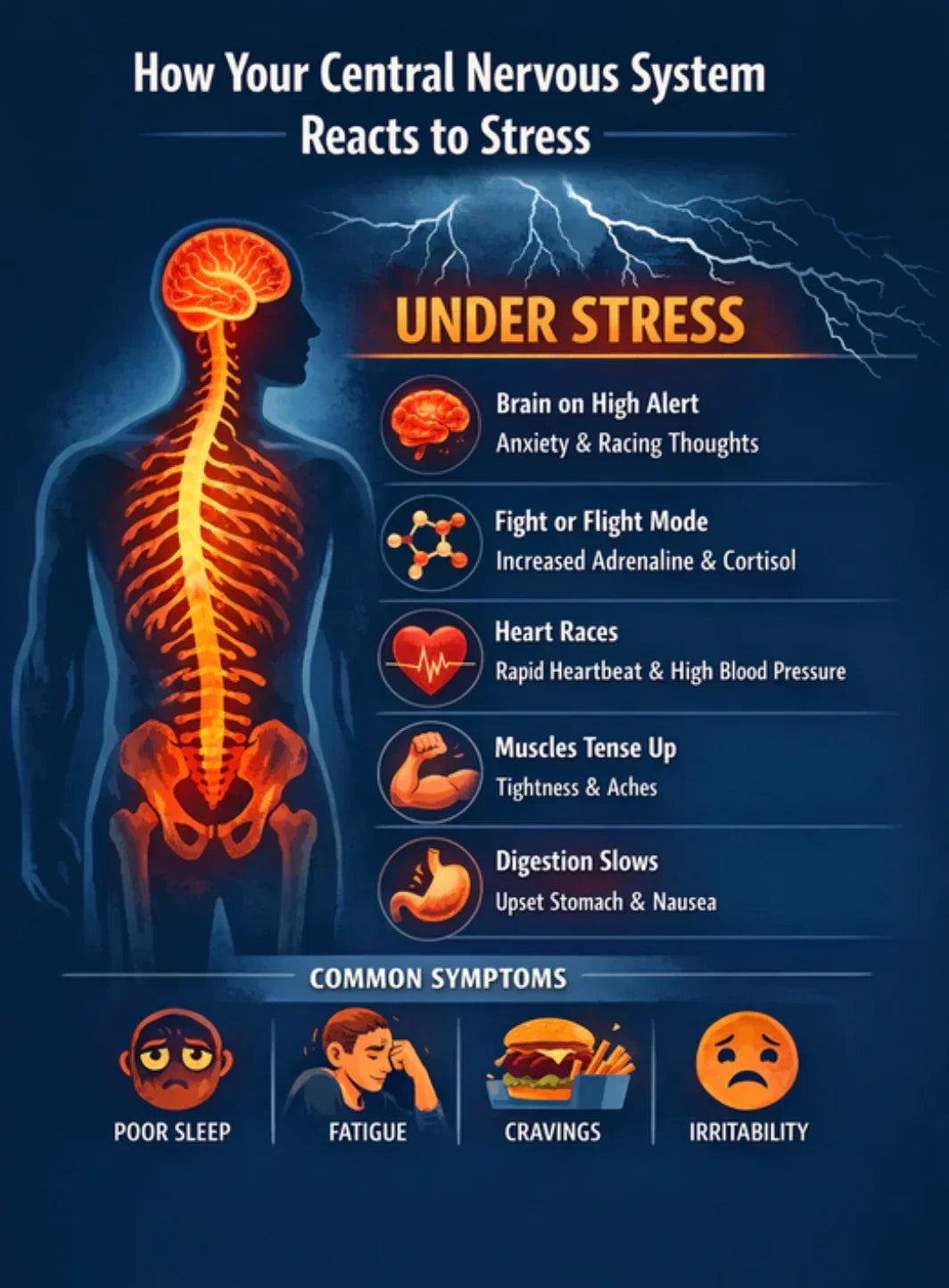 What Happens in Your Body When You’re Under Chronic Stress