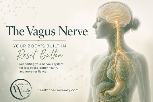 The Vagus Nerve: Your Body’s Built-In Reset Button